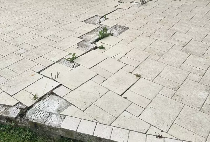 Cabinet Papiachvili Avocats - Demande d'expertise judiciaire pour sinistre sécheresse : procédure et enjeux